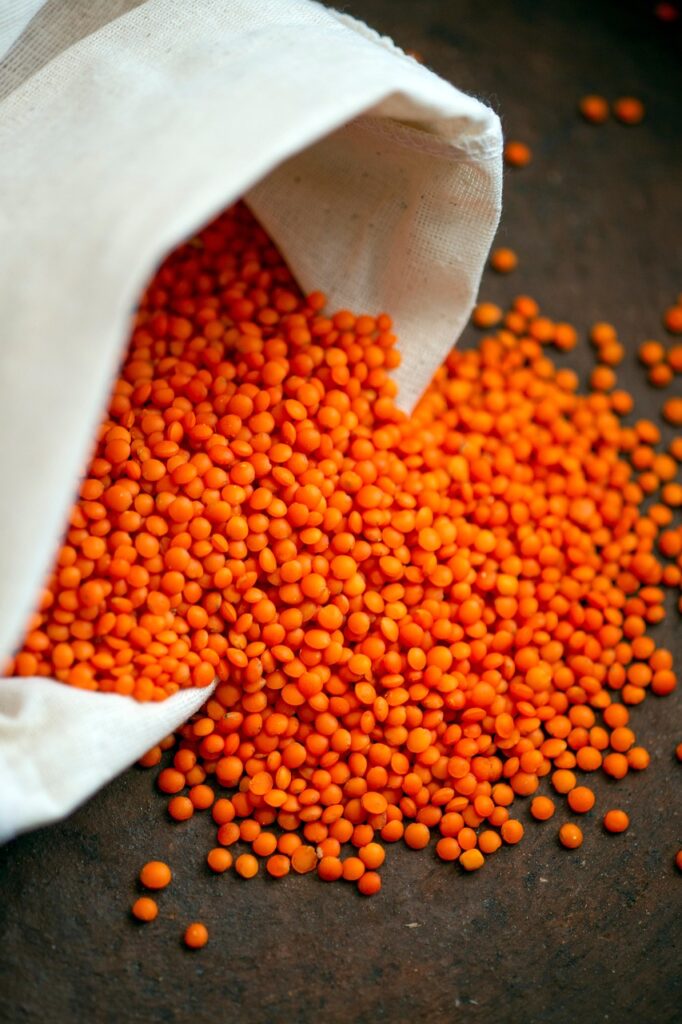 leća haccp